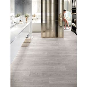 1_finsa_evolve_kalmar_gris